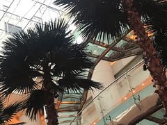 -威斯汀舞台餐厅