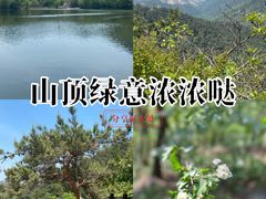 -大连金龙寺国家森林公园-售票处