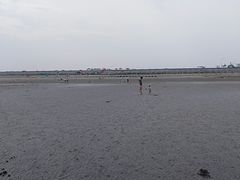 -南汇嘴观海公园