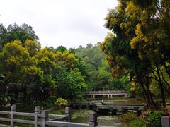 -深圳国际园林花卉博览园