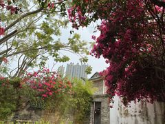 -东莞市可园博物馆