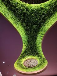 -花隐·美芙炫海菲秀皮肤管理中心