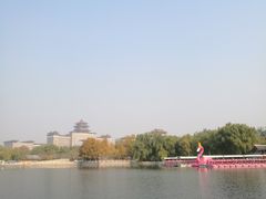 -莲花池公园