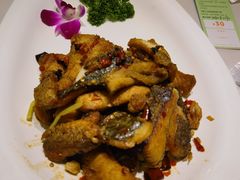 -刘胖子家常菜·蹄花焖藕(兴业店)