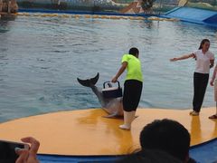 iphone_upload_pic-秦皇岛乐岛海洋王国