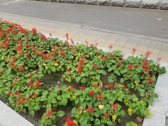 -长春市南湖公园