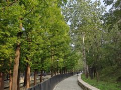 -白水寺森林公园