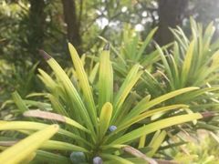 -白塘生态植物园