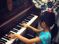 -弘智卉艺术教育/高端琴房(中央音乐学院店)