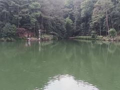 -缙云山景区