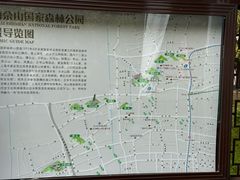 -上海佘山国家森林公园天马山园