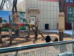 -秦皇岛野生动物园