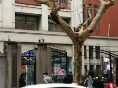 -上海市黄浦区卢湾第一中心小学