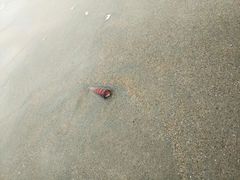 -硇洲岛旅游区