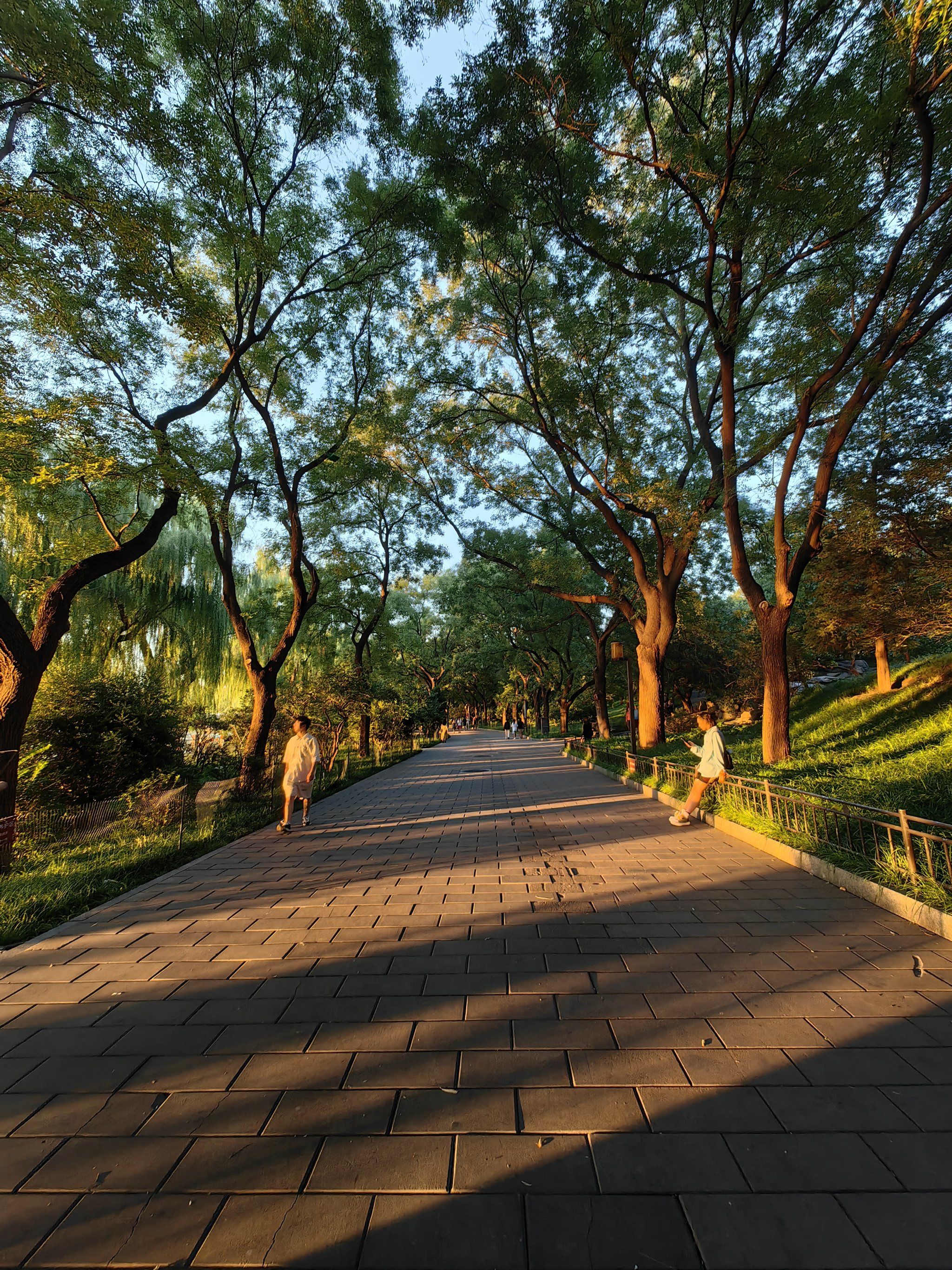 初秋的北海日落太美了