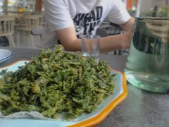 -向外鱼乐·土菜·虹鳟鱼