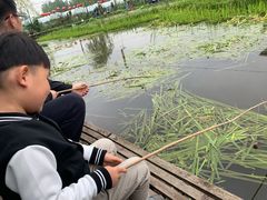 -同銮特种养殖场·龙虾垂钓