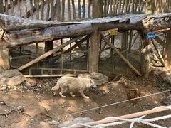 -杭州长乔极地海洋公园
