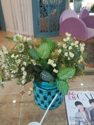 -静博士养生美容连锁