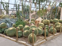 -北京植物园-展览温室