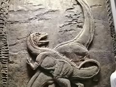 -重庆自然博物馆(新馆)