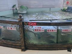 -楚鱼王·河鲜·湖北菜(华农店)