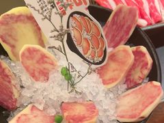 -季季山·云南野生菌火锅(上海首店)