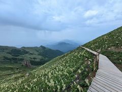 -灵山