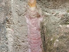 -彩色沙林风景区