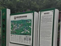 -野象谷景区