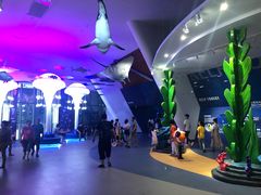 -贝林大翅鲸简餐厅(国家海洋博物馆店)