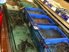 -琼菜王(南海店)