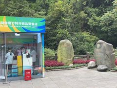 -青城山