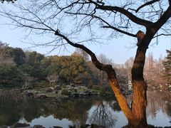 -杭州植物园