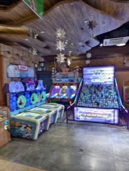 -卡通尼·Safari非洲探索乐园·生日会(金桥国际商业广场店)