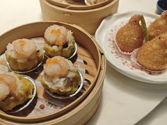 -点都德·毕德寮