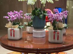 -览江阁中餐厅·淮扬菜(兆和皇冠假日酒店)
