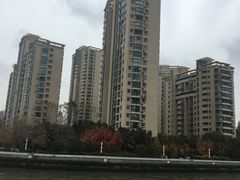 -新湖明珠城