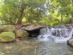 -中国茶叶博物馆(双峰馆区)