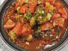 -椿记烧鹅(叠彩店)