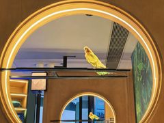 -小菜园新徽菜(青岛市南万象城店)