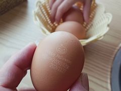 -三和屋日式海鲜锅料理(启航大厦店)