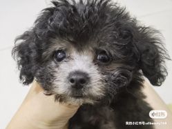 -一个差评成就的纹眉店