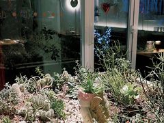 -春树下·树屋花房西餐厅(罍街AS1980店)