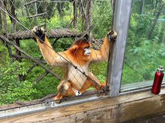 -哈尔滨北方森林动物园