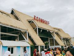 -亚龙湾国际玫瑰谷