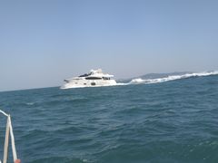 -海豚湾扬帆出海帆船游艇