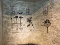 -星巴克臻选(湖滨道店)