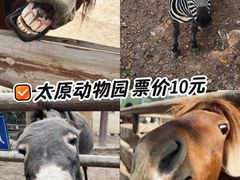 -太原动物园