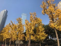 -重庆市江北嘴中央商务区中央公园